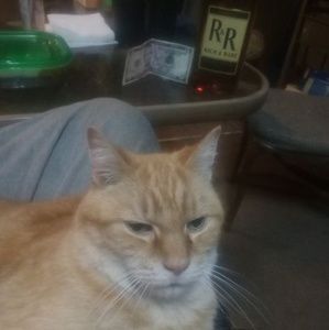 Meet your Posher, Correy